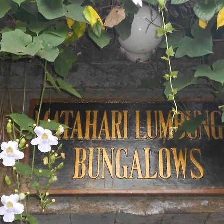 Matahari Lumbung\'S Bungalow