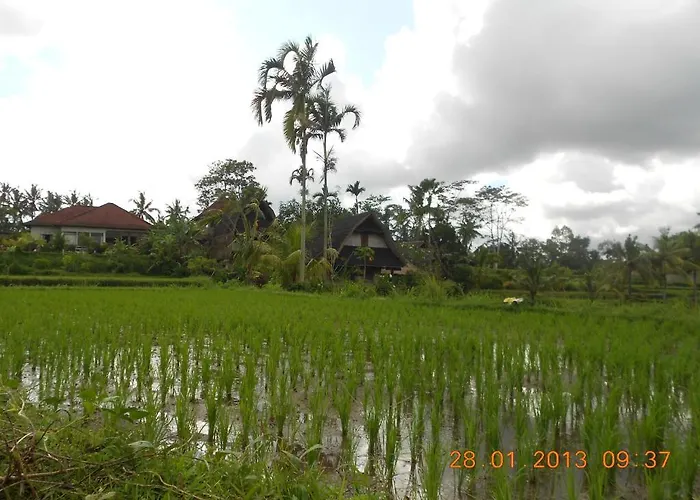Matahari Lumbung's