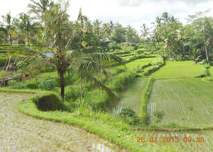 Matahari Lumbung's 2*