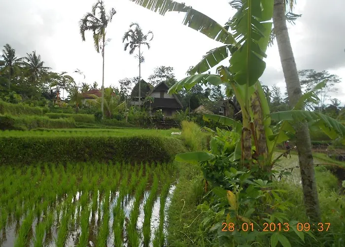 Matahari Lumbung's Ubud