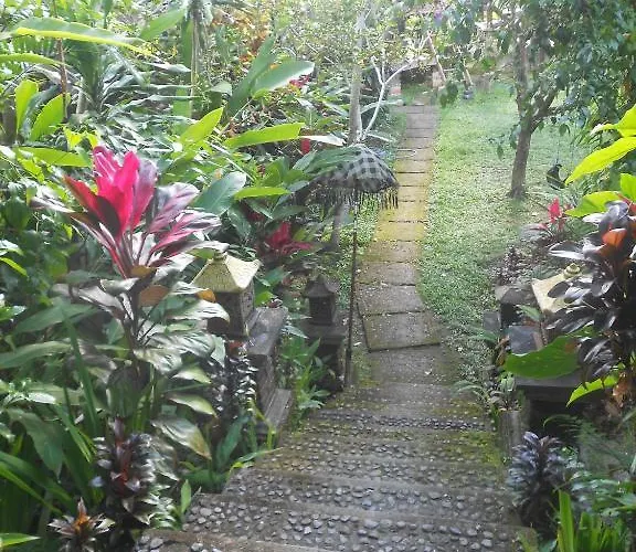 Matahari Lumbung's Ubud